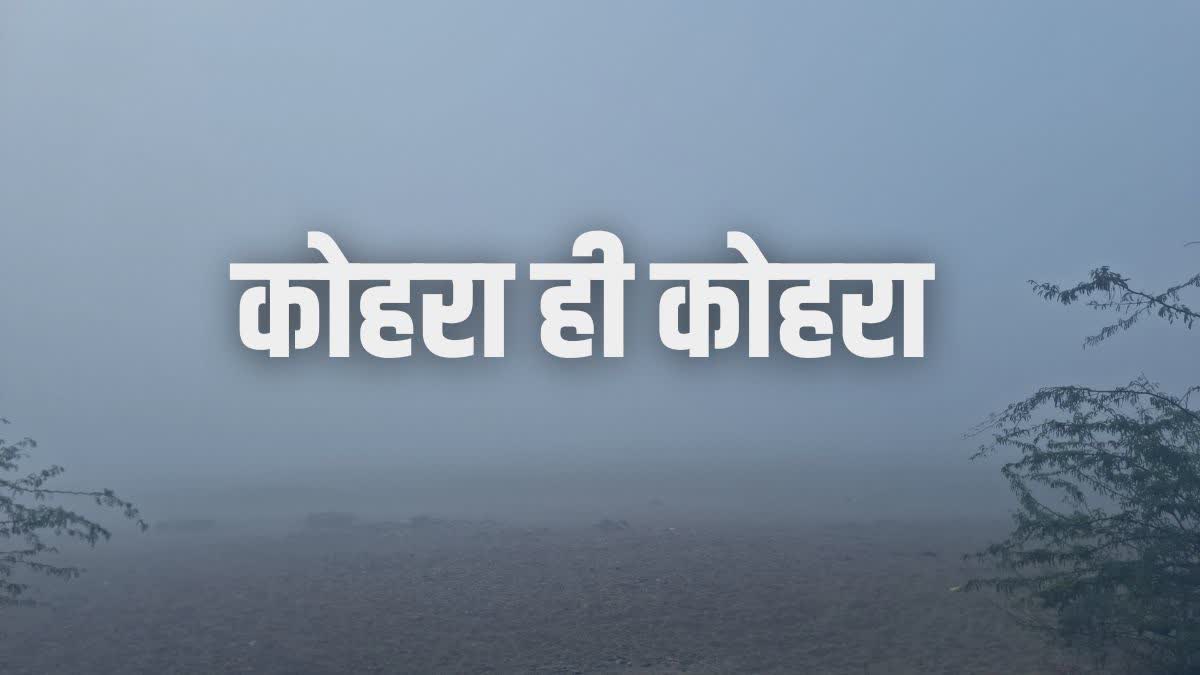 बारिश के बाद अब शीत लहर का अटैक, UP, हरियाणा और पंजाब समेत इन राज्यों में नए साल पर कैसा रहेगा मौसम?